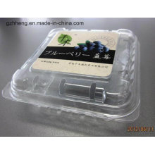 Caixa de embalagem de plástico transparente PET para frutas / vegetais (bandeja de plástico)